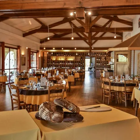 Hotel Logis Restaurant Solenca Nogaro