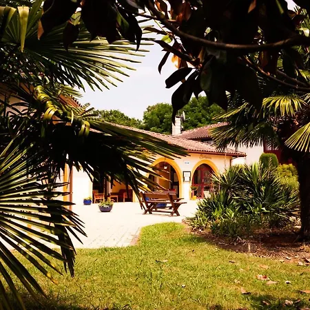 Hotel Logis Restaurant Solenca 3*