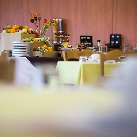 Logis Restaurant Solenca Hotel