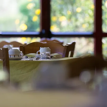 Logis Restaurant Solenca Hotel Nogaro