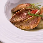 Logis Restaurant Solenca Hotel Nogaro