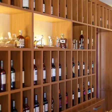 Logis Restaurant Solenca Nogaro