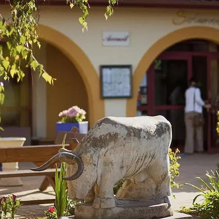 Hotel Logis Restaurant Solenca