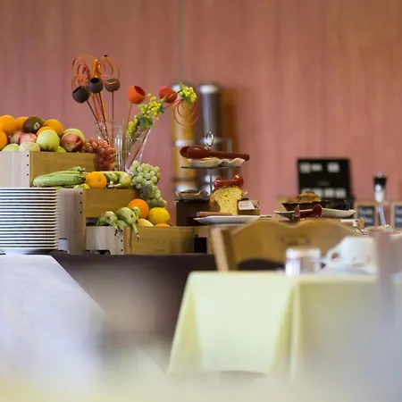 Logis Restaurant Solenca 3* Nogaro