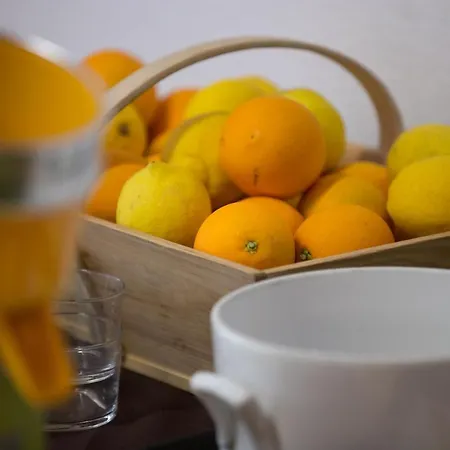 Logis Restaurant Solenca Ξενοδοχείο Nogaro