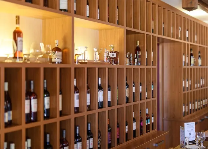 Logis Restaurant Solenca نوغارو