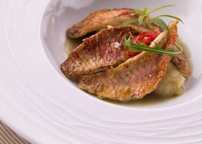 Logis Restaurant Solenca فندق نوغارو