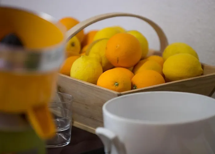 Logis Restaurant Solenca فندق نوغارو