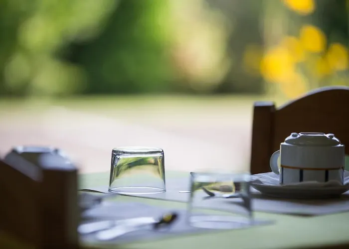 فندق Logis Restaurant Solenca 3*