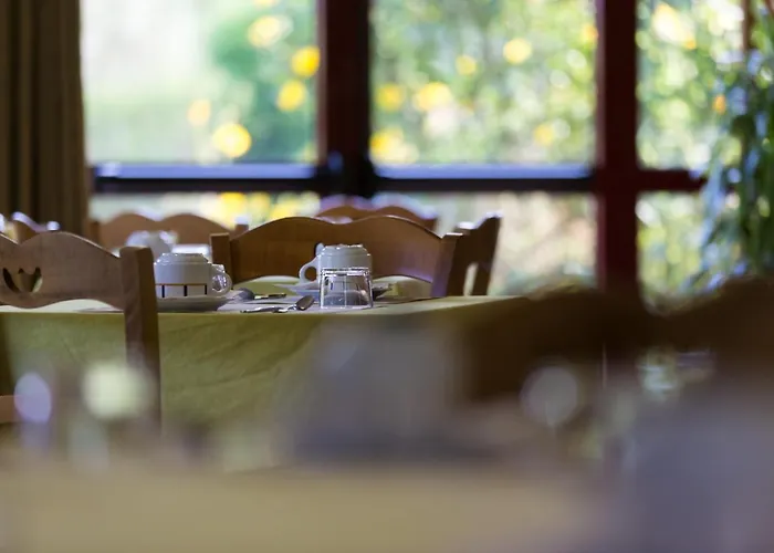 Logis Restaurant Solenca فندق نوغارو